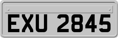 EXU2845