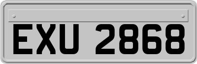 EXU2868