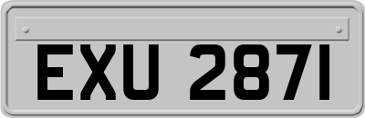 EXU2871