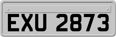 EXU2873