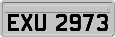 EXU2973