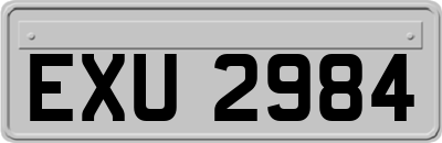 EXU2984