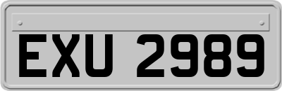 EXU2989