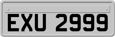 EXU2999