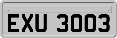 EXU3003