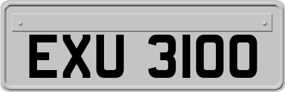 EXU3100
