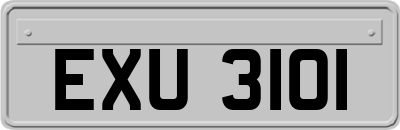 EXU3101