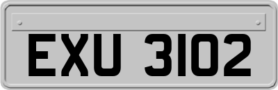EXU3102