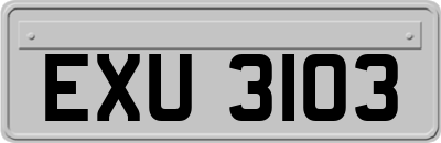 EXU3103