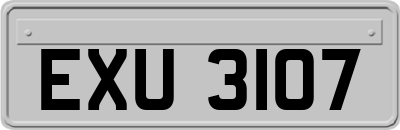 EXU3107