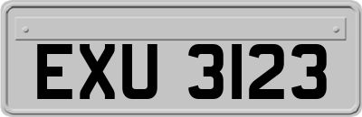 EXU3123