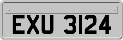 EXU3124