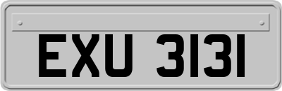EXU3131