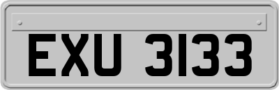 EXU3133