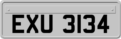 EXU3134