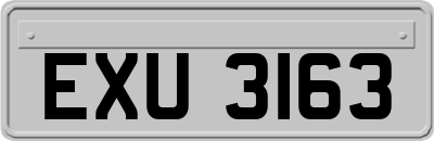 EXU3163