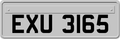 EXU3165