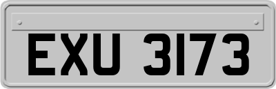 EXU3173
