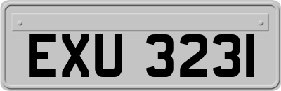 EXU3231