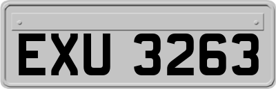 EXU3263
