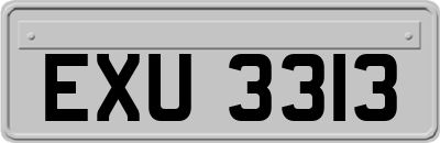 EXU3313