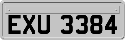 EXU3384
