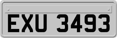 EXU3493