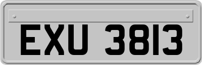 EXU3813