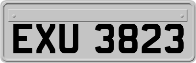 EXU3823