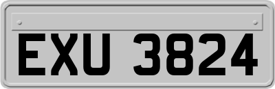 EXU3824