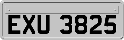 EXU3825