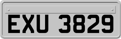 EXU3829