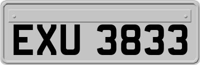 EXU3833