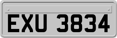 EXU3834