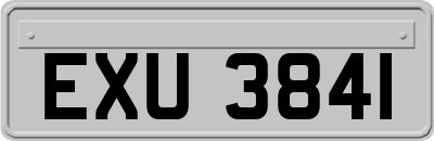 EXU3841