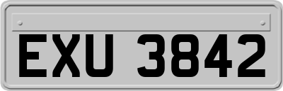 EXU3842