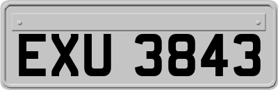 EXU3843