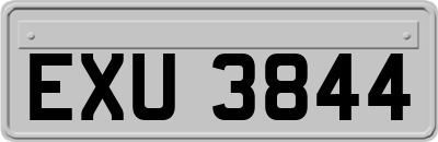 EXU3844