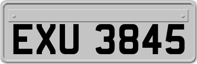 EXU3845