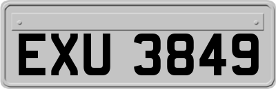 EXU3849