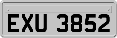EXU3852