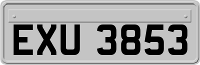 EXU3853