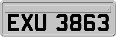 EXU3863