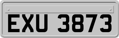 EXU3873