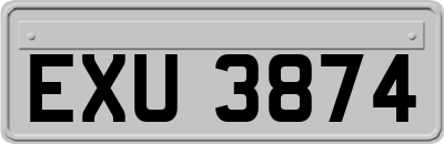 EXU3874
