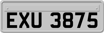 EXU3875