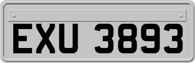 EXU3893