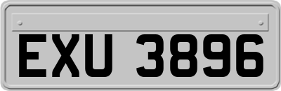 EXU3896