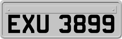 EXU3899