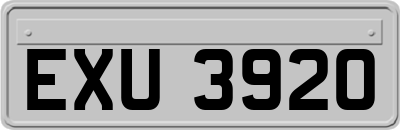 EXU3920